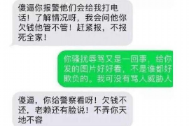 沙市融资清欠服务